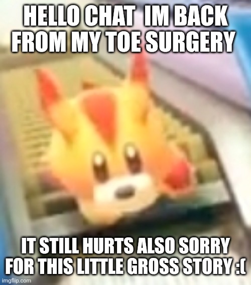 If yal get disgusted im sorry :( | HELLO CHAT  IM BACK FROM MY TOE SURGERY; IT STILL HURTS ALSO SORRY FOR THIS LITTLE GROSS STORY :( | made w/ Imgflip meme maker