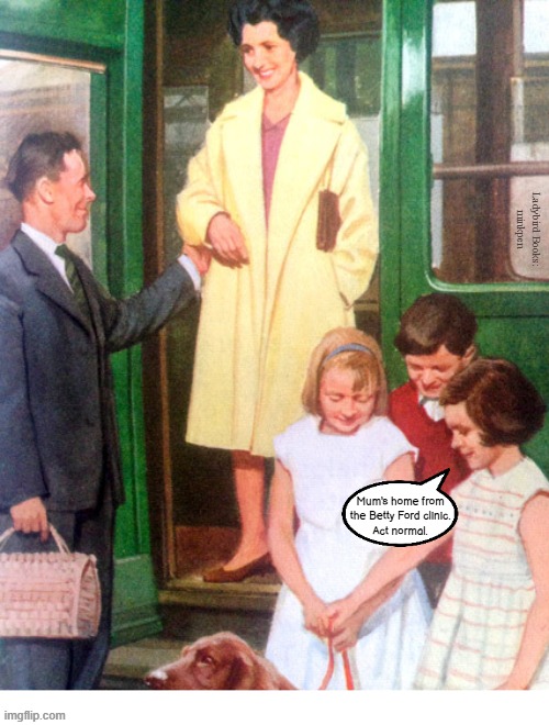Whatever | Ladybird Books:
minkpen; Mum's home from
the Betty Ford clinic.
Act normal. | image tagged in ladybird,children,family | made w/ Imgflip meme maker