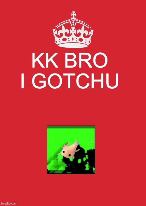 Keep Calm And Carry On Red Meme | KK BRO I GOTCHU; NO | image tagged in memes,keep calm and carry on red | made w/ Imgflip meme maker