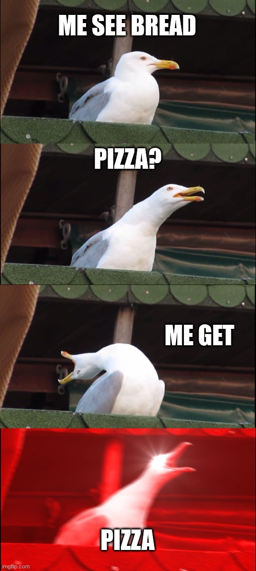 Inhaling Seagull | ME SEE BREAD; PIZZA? ME GET; PIZZA | image tagged in memes,inhaling seagull | made w/ Imgflip meme maker