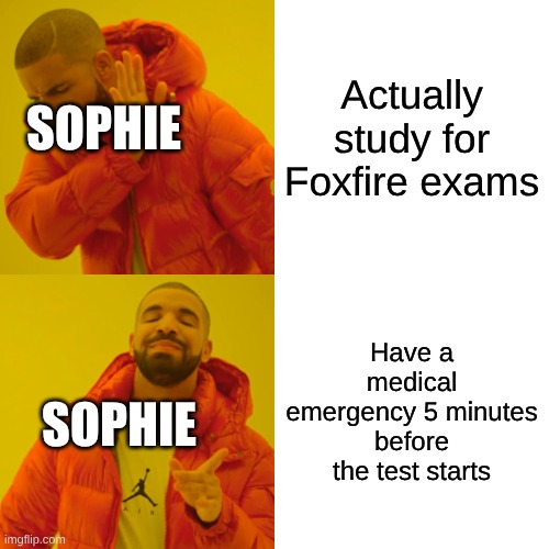 Drake Hotline Bling | Actually study for Foxfire exams; SOPHIE; Have a medical emergency 5 minutes before the test starts; SOPHIE | image tagged in memes,drake hotline bling | made w/ Imgflip meme maker