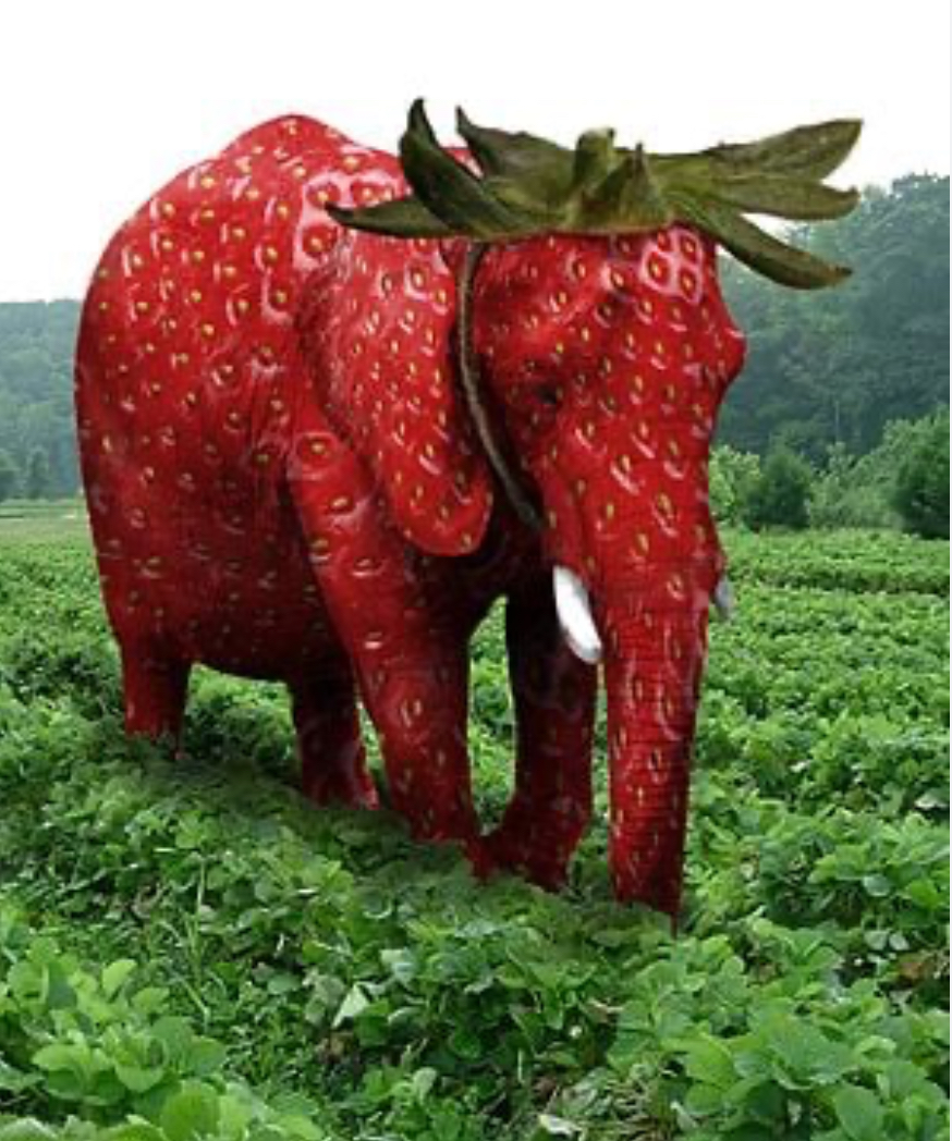 Strawberry Elephant Blank Meme Template