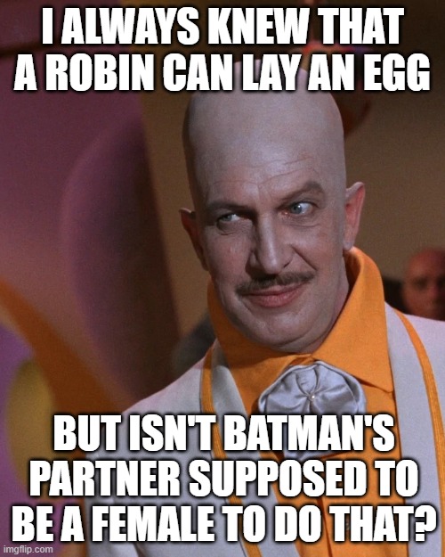 What Egghead should of said back in 1967 | I ALWAYS KNEW THAT A ROBIN CAN LAY AN EGG; BUT ISN'T BATMAN'S PARTNER SUPPOSED TO BE A FEMALE TO DO THAT? | image tagged in egghead vincent price from batman,robin,egg,history,lesson | made w/ Imgflip meme maker