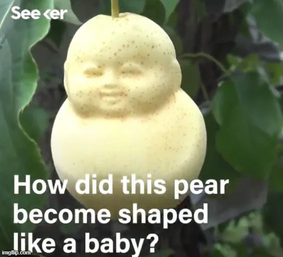 stop 4u4u4u4u like stop doing that | made w/ Imgflip meme maker