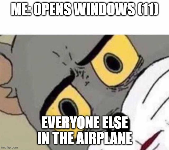 I opened 11 windows | ME: OPENS WINDOWS (11); EVERYONE ELSE IN THE AIRPLANE | image tagged in tom cat unsettled close up,windows 11,wait a sec,hol up,hold the frick up,memes | made w/ Imgflip meme maker