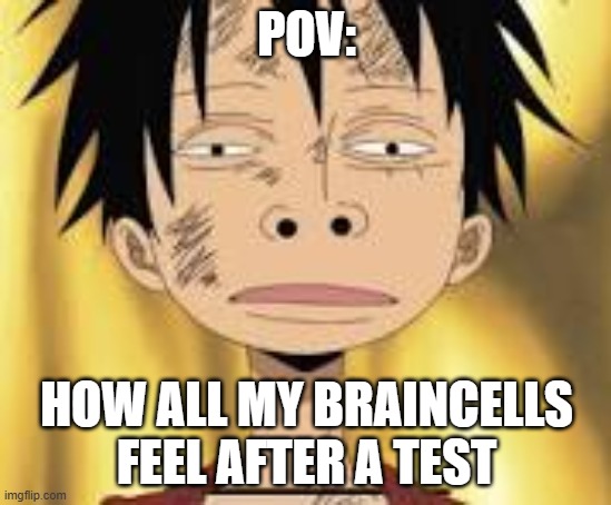 Duhhhh | POV:; HOW ALL MY BRAINCELLS FEEL AFTER A TEST | image tagged in your brain after a test | made w/ Imgflip meme maker