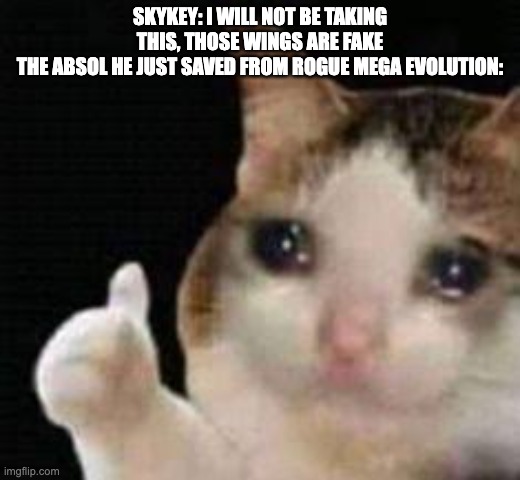Approved crying cat | SKYKEY: I WILL NOT BE TAKING THIS, THOSE WINGS ARE FAKE
THE ABSOL HE JUST SAVED FROM ROGUE MEGA EVOLUTION: | image tagged in approved crying cat,pokemon | made w/ Imgflip meme maker