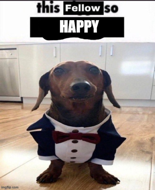 This fellow so foolish | HAPPY | image tagged in this fellow so foolish | made w/ Imgflip meme maker