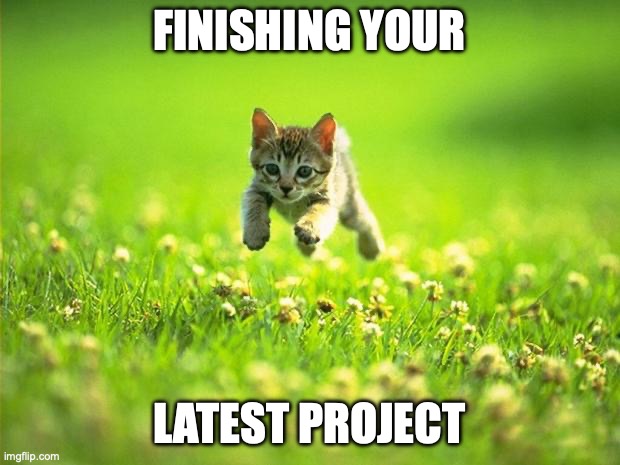 finishing your latest project | FINISHING YOUR; LATEST PROJECT | image tagged in kitten,finishing project,project done | made w/ Imgflip meme maker