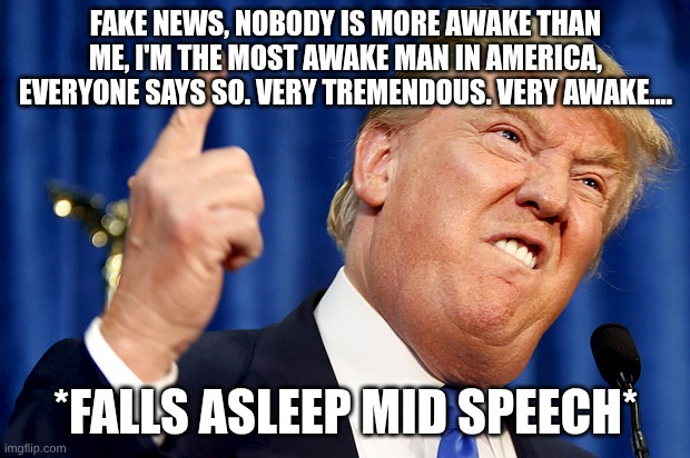 Donald Trump | FAKE NEWS, NOBODY IS MORE AWAKE THAN ME, I'M THE MOST AWAKE MAN IN AMERICA, EVERYONE SAYS SO. VERY TREMENDOUS. VERY AWAKE.... *FALLS ASLEEP  | image tagged in donald trump | made w/ Imgflip meme maker