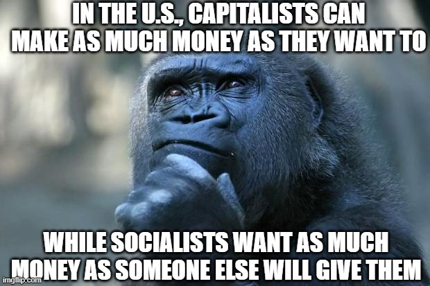 Deep Thoughts | IN THE U.S., CAPITALISTS CAN MAKE AS MUCH MONEY AS THEY WANT TO WHILE SOCIALISTS WANT AS MUCH MONEY AS SOMEONE ELSE WILL GIVE THEM | image tagged in deep thoughts | made w/ Imgflip meme maker