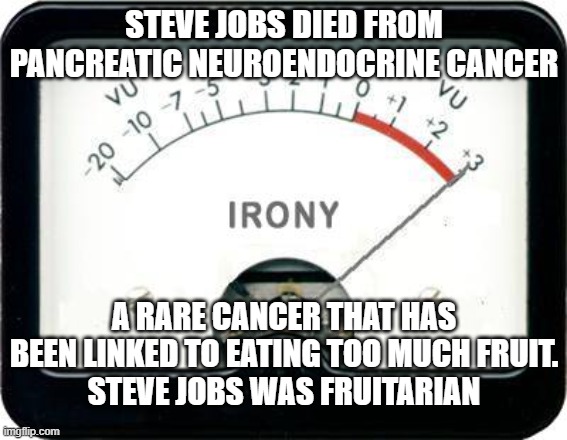 Irony Meter | STEVE JOBS DIED FROM PANCREATIC NEUROENDOCRINE CANCER A RARE CANCER THAT HAS BEEN LINKED TO EATING TOO MUCH FRUIT.
STEVE JOBS WAS FRUITARIAN | image tagged in irony meter | made w/ Imgflip meme maker