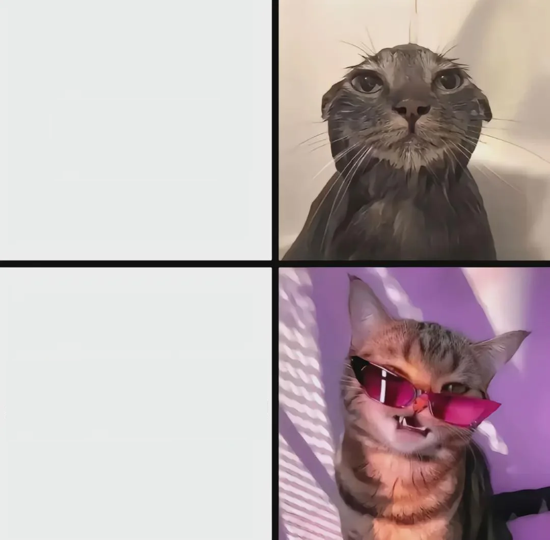 Wet & Cool Blank Meme Template