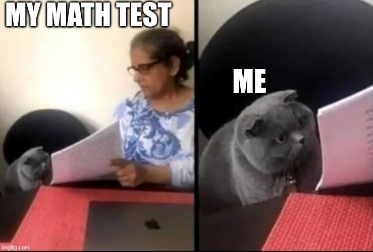 my math test | MY MATH TEST; ME | image tagged in cat confusing,math | made w/ Imgflip meme maker