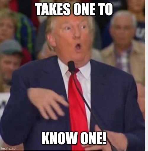 Donald Trump tho | TAKES ONE TO KNOW ONE! | image tagged in donald trump tho | made w/ Imgflip meme maker