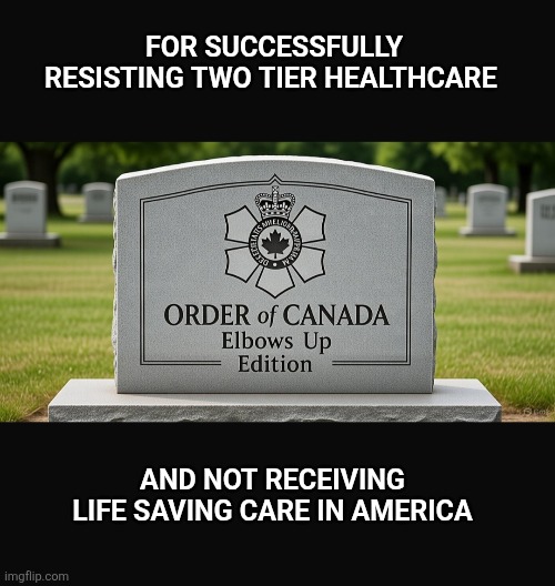FOR SUCCESSFULLY RESISTING TWO TIER HEALTHCARE; AND NOT RECEIVING LIFE SAVING CARE IN AMERICA | image tagged in meanwhile in canada | made w/ Imgflip meme maker