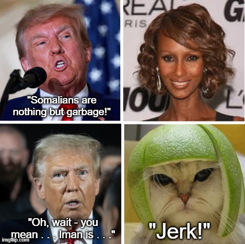 Donald Trump Iman Somalia | "Somalians are nothing but garbage!"; "Oh, wait - you mean . . . Iman is . . ."; "Jerk!" | image tagged in donald trump,iman,somalia,cat in lime helmet,donald trump sucks | made w/ Imgflip meme maker