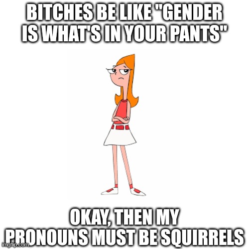 Lol this is so stupid (idk what else to post) | BITCHES BE LIKE "GENDER IS WHAT'S IN YOUR PANTS"; OKAY, THEN MY PRONOUNS MUST BE SQUIRRELS | image tagged in blank white template,meme | made w/ Imgflip meme maker