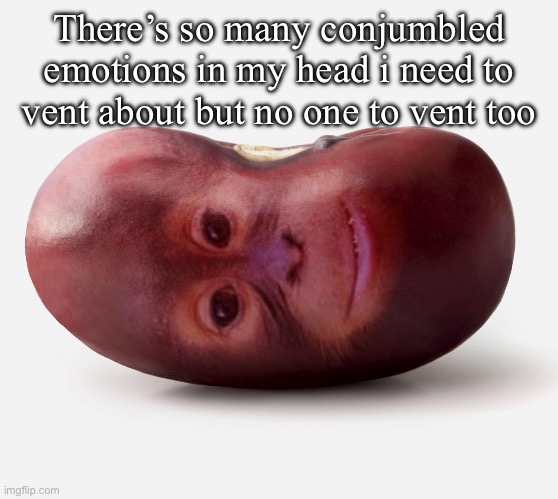 Primate | There’s so many conjumbled emotions in my head i need to vent about but no one to vent too | image tagged in primate | made w/ Imgflip meme maker