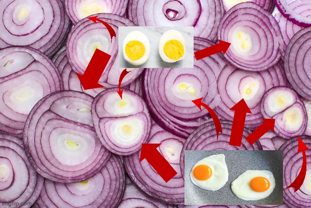 Onions | image tagged in onion | made w/ Imgflip meme maker