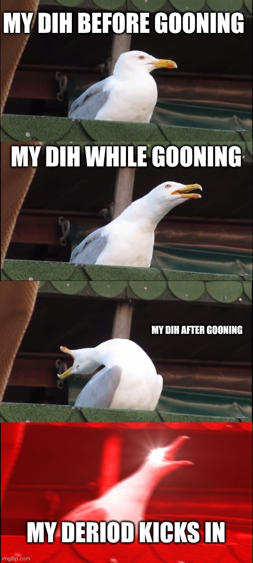dihhh | MY DIH BEFORE GOONING; MY DIH WHILE GOONING; MY DIH AFTER GOONING; MY DERIOD KICKS IN | image tagged in memes,inhaling seagull | made w/ Imgflip meme maker