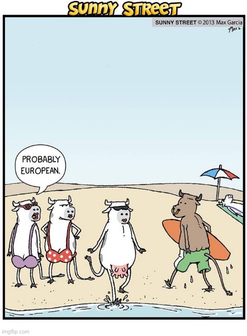 The bovine nudist… | image tagged in comics,sunny street,beach,cows,bull,nudist | made w/ Imgflip meme maker