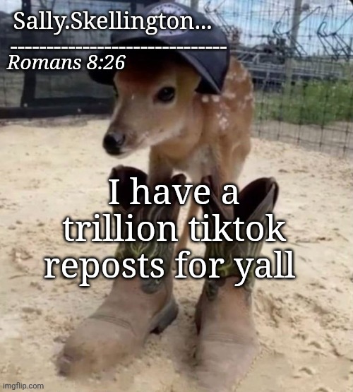 Jesus and trucks and food mostly | I have a trillion tiktok reposts for yall | image tagged in sally's temp | made w/ Imgflip meme maker