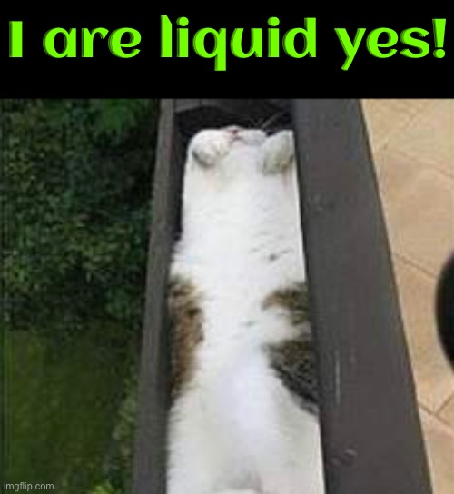 I Are Liquid | I are liquid yes! | image tagged in cats,funny cats,liquid,logic,funny cat memes,illogical | made w/ Imgflip meme maker