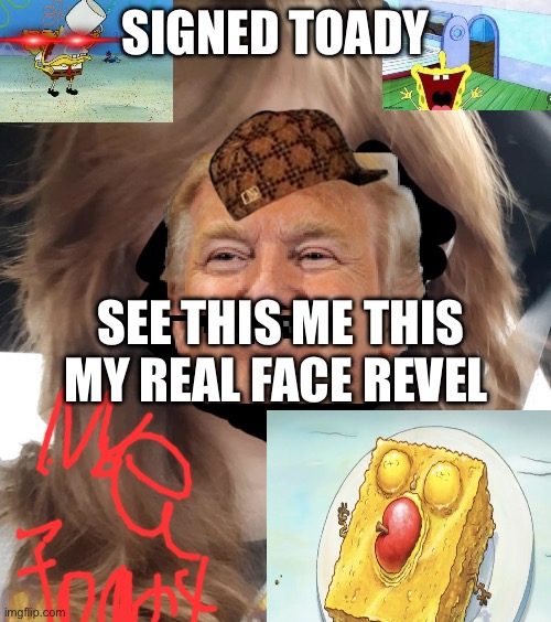my new funny meme | SIGNED TOADY; SEE THIS ME THIS MY REAL FACE REVEL | image tagged in toadythetoad face reveal | made w/ Imgflip meme maker