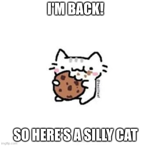 I'M BACK! SO HERE'S A SILLY CAT | image tagged in yippee | made w/ Imgflip meme maker