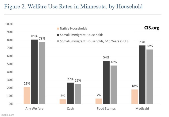 81% of Somalian families are on welfare. Compared to 22% of all American families | image tagged in welfare,somalis,minnesota,tim walz,welfare fraud | made w/ Imgflip meme maker