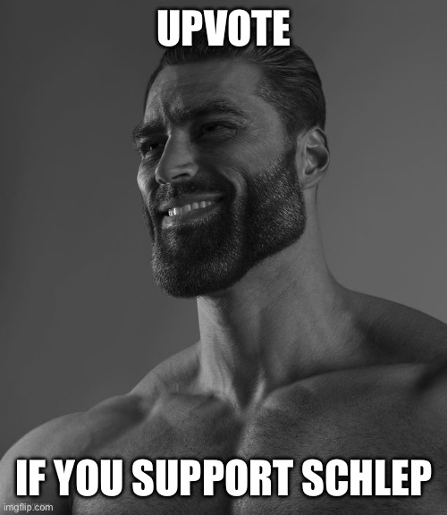 Giga Chad | UPVOTE; IF YOU SUPPORT SCHLEP | image tagged in giga chad | made w/ Imgflip meme maker