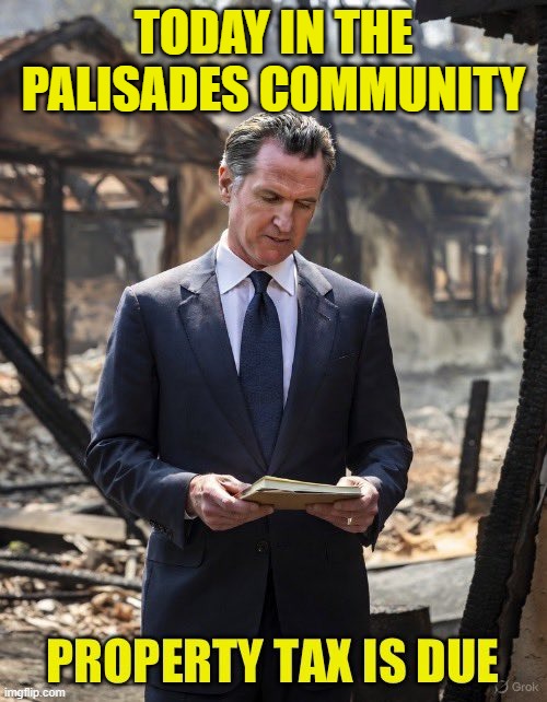 Today in the Palisades community...property taxes are due | TODAY IN THE PALISADES COMMUNITY | image tagged in gavin newsom,california fires,property taxes,california | made w/ Imgflip meme maker