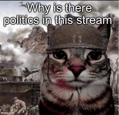 Thousand yard stare cat | Why is there politics in this stream | image tagged in thousand yard stare cat | made w/ Imgflip meme maker