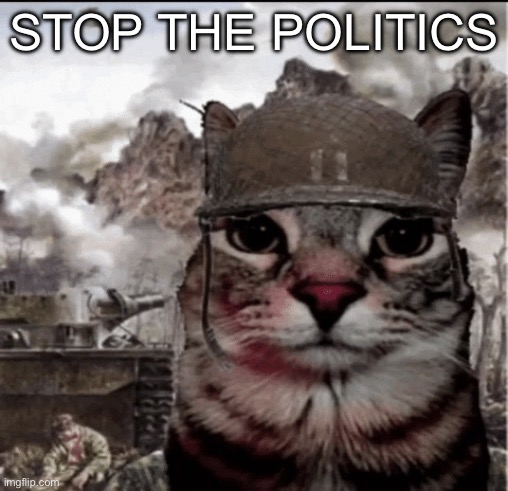 Thousand yard stare cat | STOP THE POLITICS | image tagged in thousand yard stare cat | made w/ Imgflip meme maker