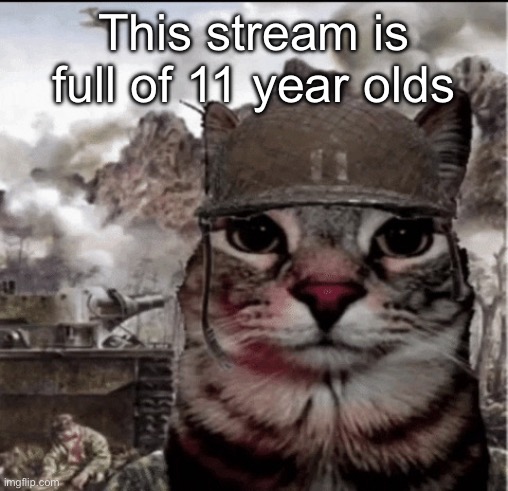 Thousand yard stare cat | This stream is full of 11 year olds | image tagged in thousand yard stare cat | made w/ Imgflip meme maker