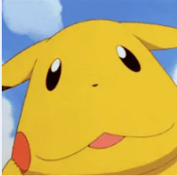 walrus pikachu Blank Meme Template