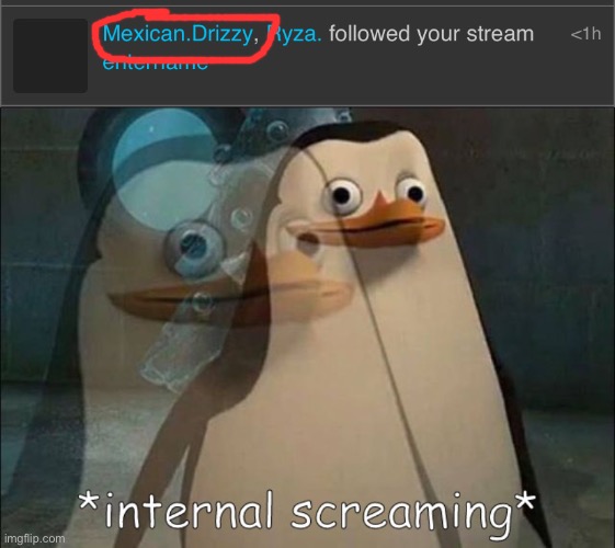 he knows | image tagged in private internal screaming | made w/ Imgflip meme maker