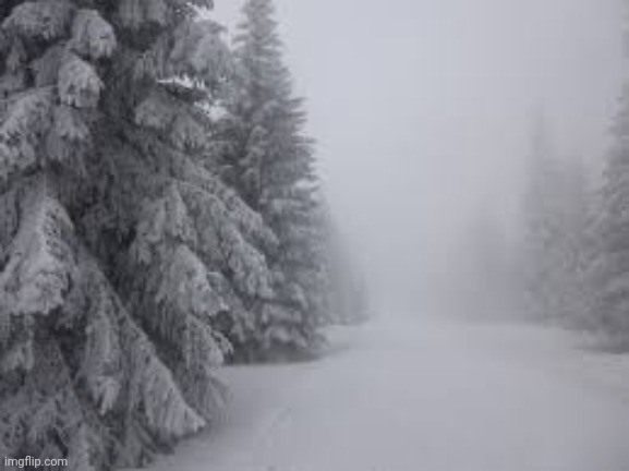 Bleak Winter | image tagged in bleak winter | made w/ Imgflip meme maker