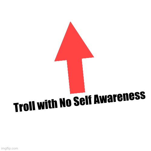 BLANK | Troll with No Self Awareness | image tagged in blank | made w/ Imgflip meme maker