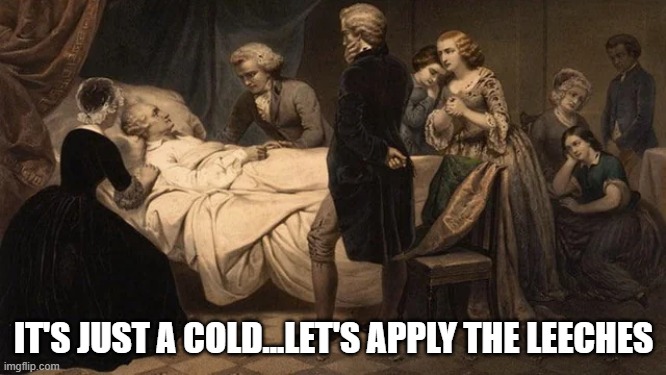 Suck the Blood | IT'S JUST A COLD...LET'S APPLY THE LEECHES | image tagged in history memes | made w/ Imgflip meme maker