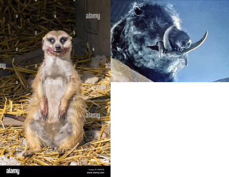 Horror Timon and Pumbaa Blank Meme Template