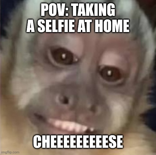 home pictures be like | POV: TAKING A SELFIE AT HOME; CHEEEEEEEEESE | image tagged in smiling monkey | made w/ Imgflip meme maker