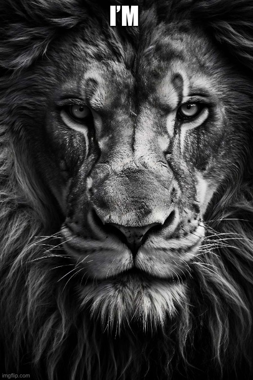 A lion doesn’t concern himseld | I’M | image tagged in a lion doesn t concern himseld | made w/ Imgflip meme maker