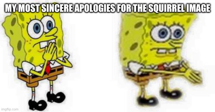 Spongebob *Inhale* Boi | MY MOST SINCERE APOLOGIES FOR THE SQUIRREL IMAGE | image tagged in spongebob inhale boi | made w/ Imgflip meme maker