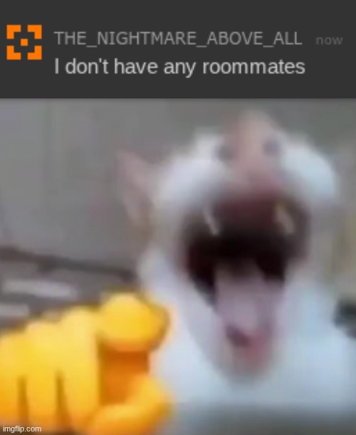 bro is a virgin | image tagged in cat pointing and laughing | made w/ Imgflip meme maker