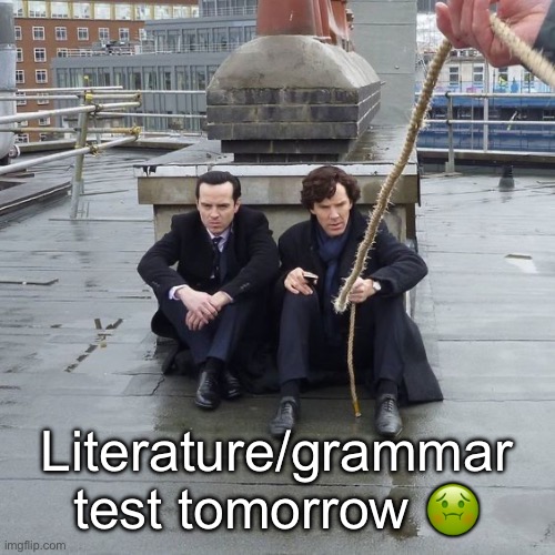 Kids in bodies of adults frfr | Literature/grammar test tomorrow 🤢 | image tagged in kids in bodies of adults frfr | made w/ Imgflip meme maker