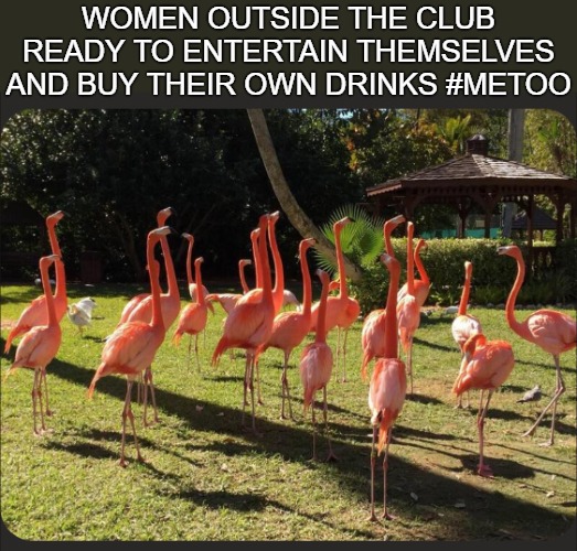 I'm not a club-goer. Irish Pubs are as active as it gets here. But I hear the complaints about guy-less places | WOMEN OUTSIDE THE CLUB READY TO ENTERTAIN THEMSELVES AND BUY THEIR OWN DRINKS #METOO | image tagged in women,funny,metoo,clubbing | made w/ Imgflip meme maker