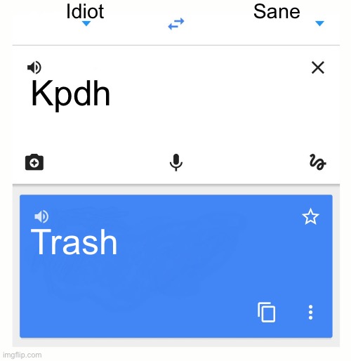 Google Translate | Idiot; Sane; Kpdh; Trash | image tagged in google translate | made w/ Imgflip meme maker