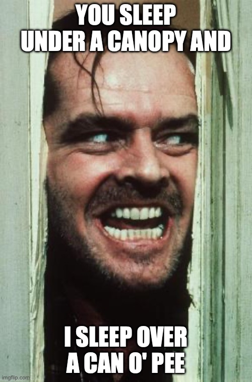 Here's Johnny | YOU SLEEP UNDER A CANOPY AND; I SLEEP OVER A CAN O' PEE | image tagged in memes,here's johnny | made w/ Imgflip meme maker